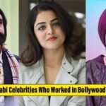 punjabi celebrities worked in bollywood