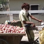 Viral Video: Netizens Helps 100-Year-Old Punjabi Man, Selling Veggies To Support His Orphaned Grandkids