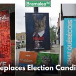 Hoardings Of Election Candidates Replaced With Cat Pictures In Montreal, See Netizens Reaction