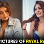 25 Hot Pictures Of Payal Rajput That Raised Hotness Meter High
