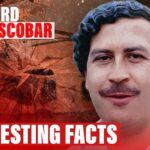 Interesting Facts About Pablo Escobar