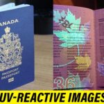 Interesting Facts About Canadian Passport, One Of The Most Powerful Passports