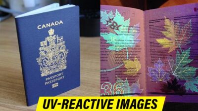 Interesting Facts About Canadian Passport, One Of The Most Powerful Passports