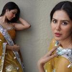 Sonam Bajwa Once Again Turns Heads With Her Velvet Garara Outfit. Pics Inside