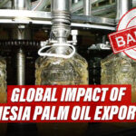 Indonesia palm oil export ban: food and cooking oil prices set to rise globally