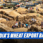 Why India Banned Wheat Export? What Are Its Nat'l And Int'l Effects? All You Need To Know