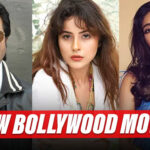 Shehnaaz Gill, Anil Kapoor & Bhumi Pednekar Roped In For Upcoming Bollywood Movie