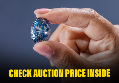 Very Rare Blue Diamond Auctioned In Geneva; Auction Price Will Shock Everyone