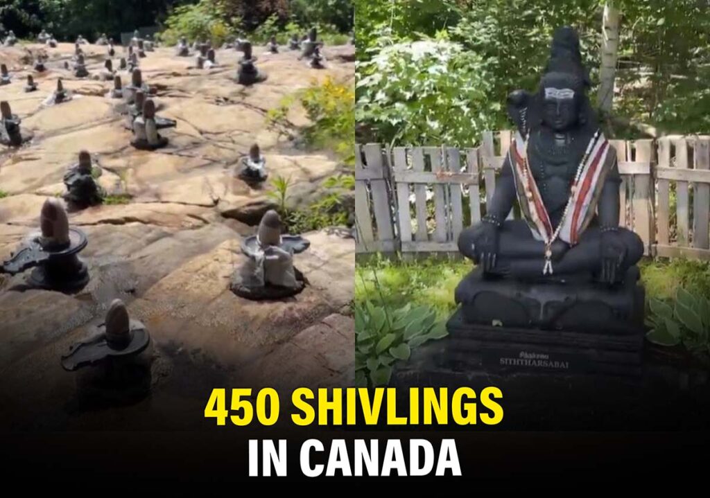 कनाडा मंदिर में 450 शिवलिंग के साथ पहाड़ों में काले पत्थर की शिवलिंग कनाडा के शांतिपूर्ण शिव मंदिर में