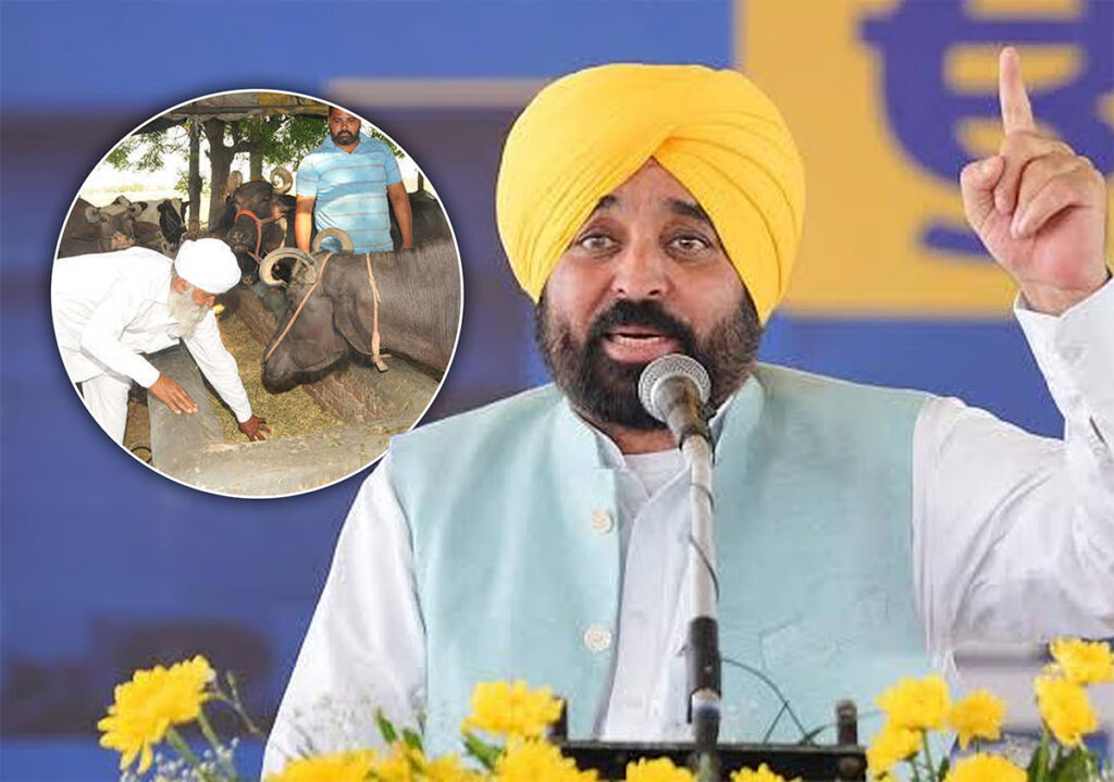 Punjab farmers benefit from Bhagwant Mann government scheme for dairy welfare